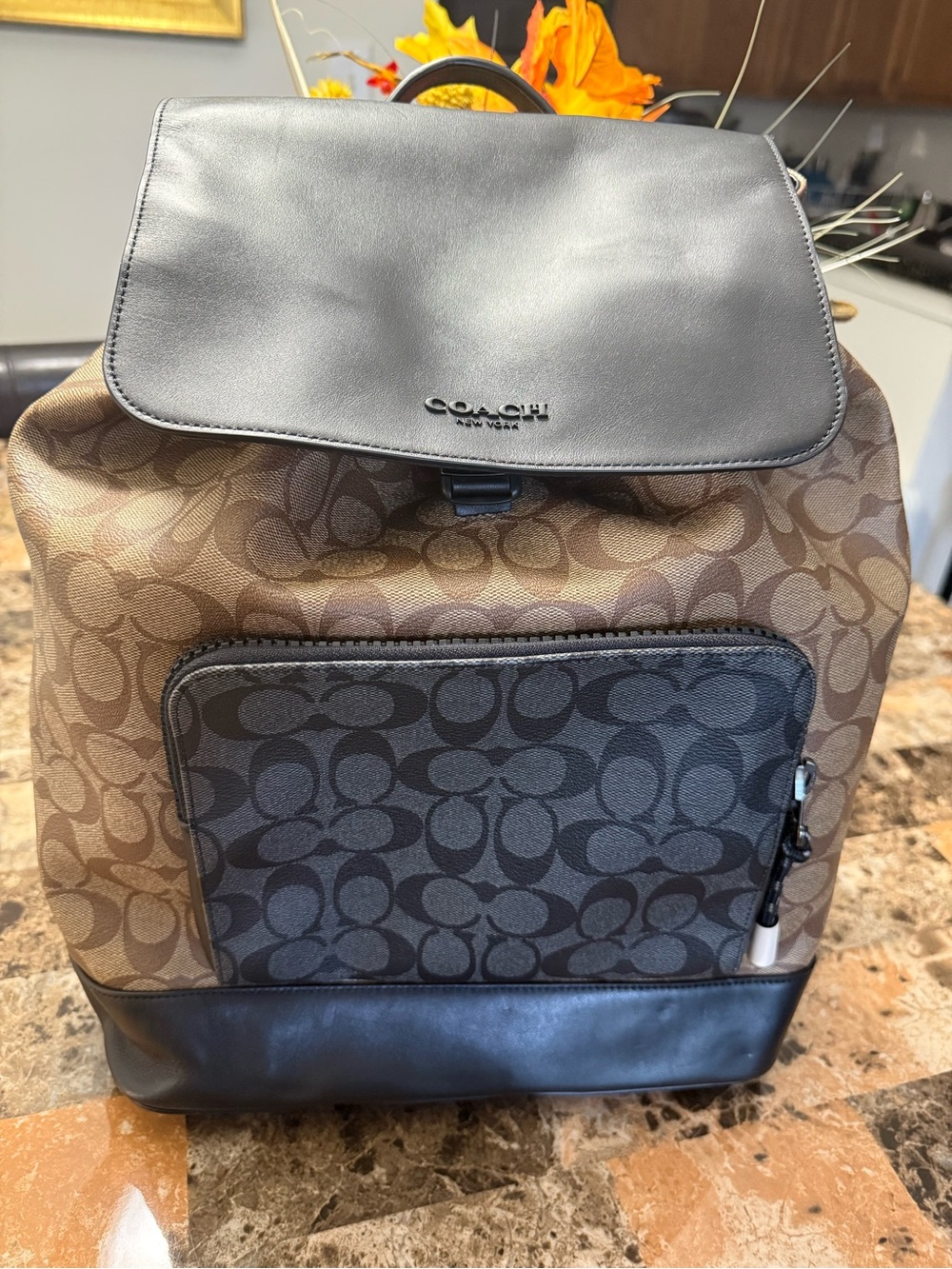 Coach Two-Tone Signature Canvas Backpack in Brown and Black